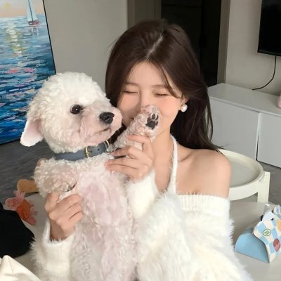 2026热播剧精选第085期